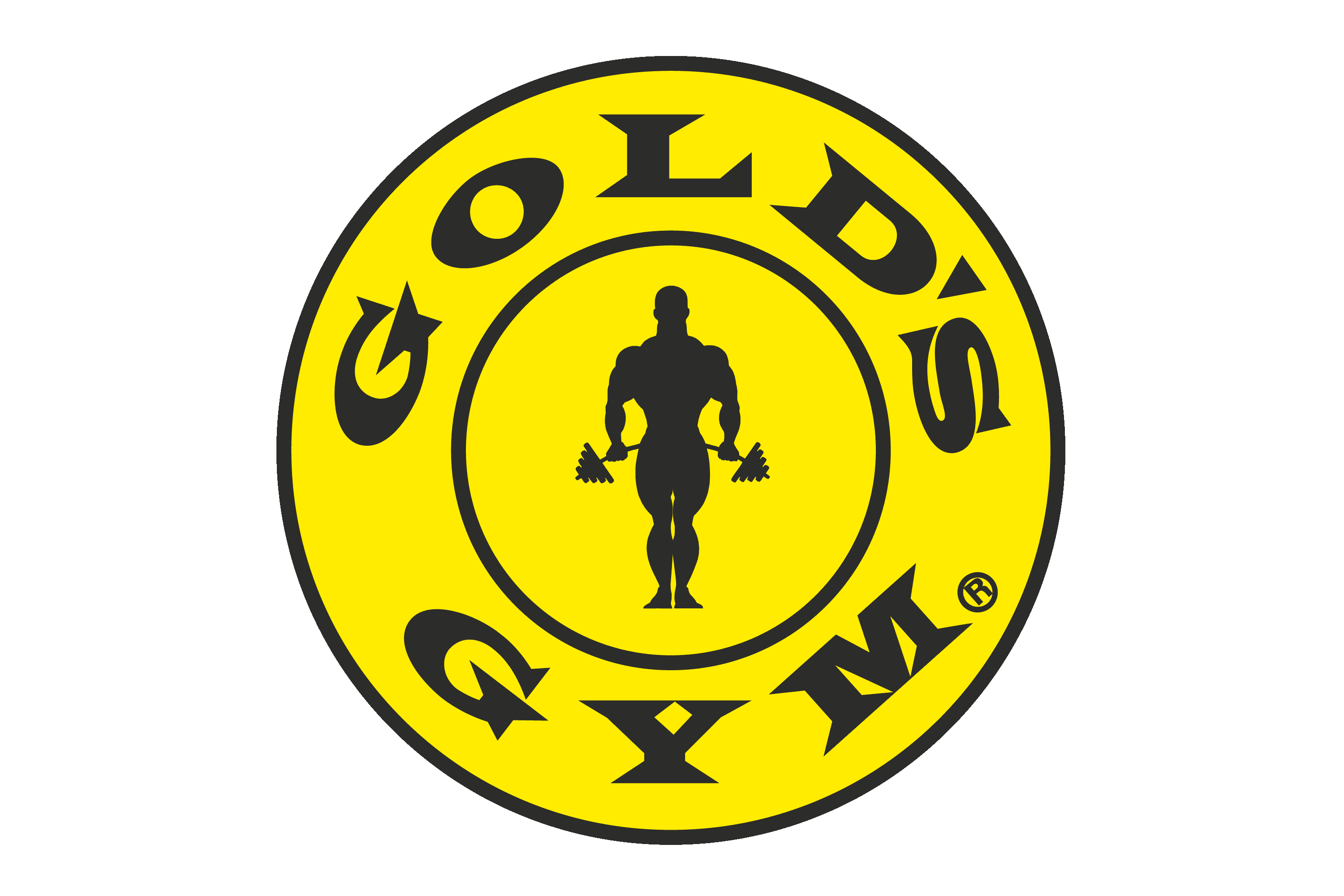 General Accountant for Gold’s Gym Egypt